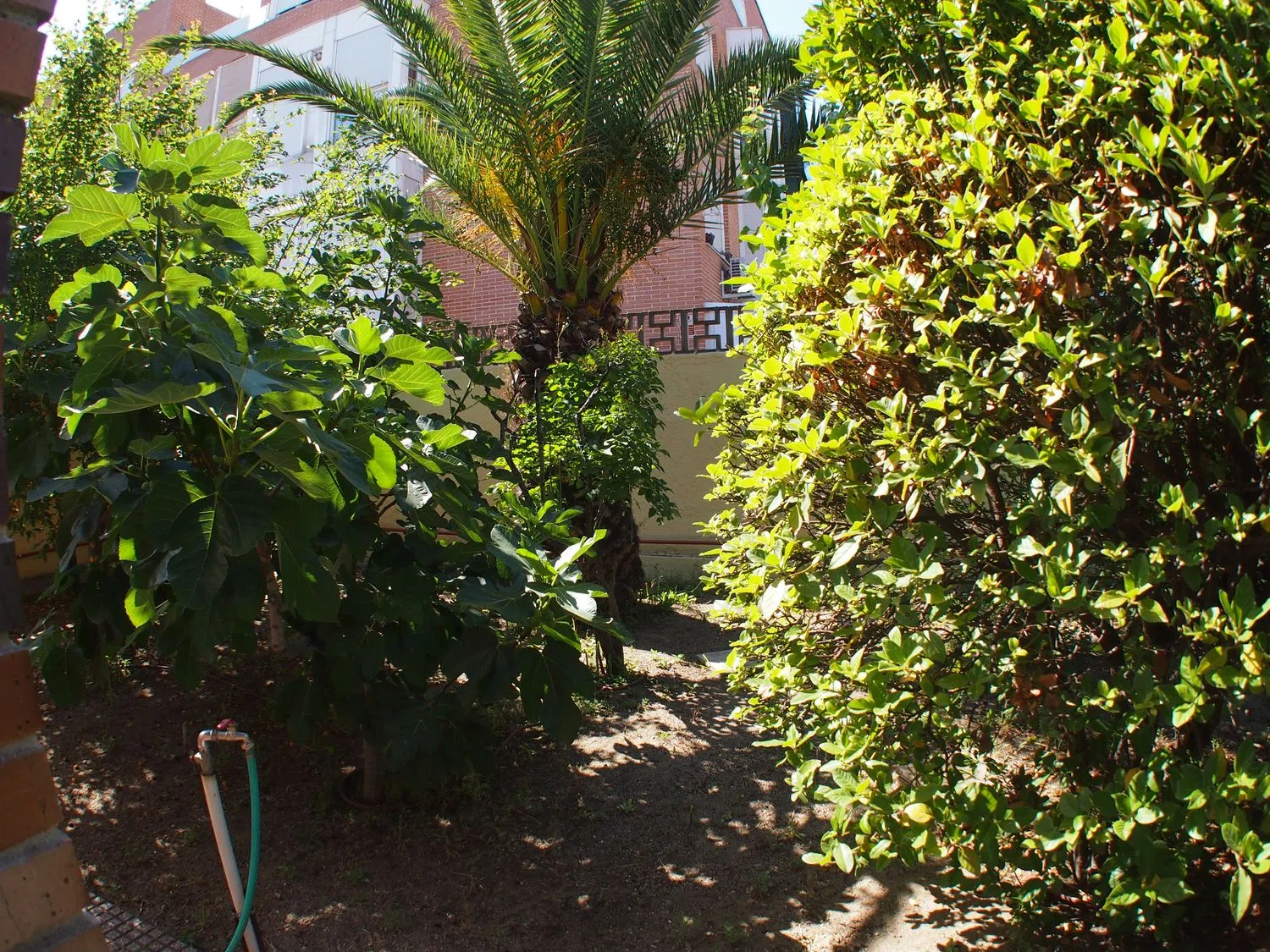 Casa independiente en calle de Mariano Díaz Alonso, 1 - Foto 5