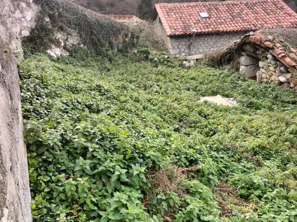Casa rural en Bermiego, 34 - Foto 4