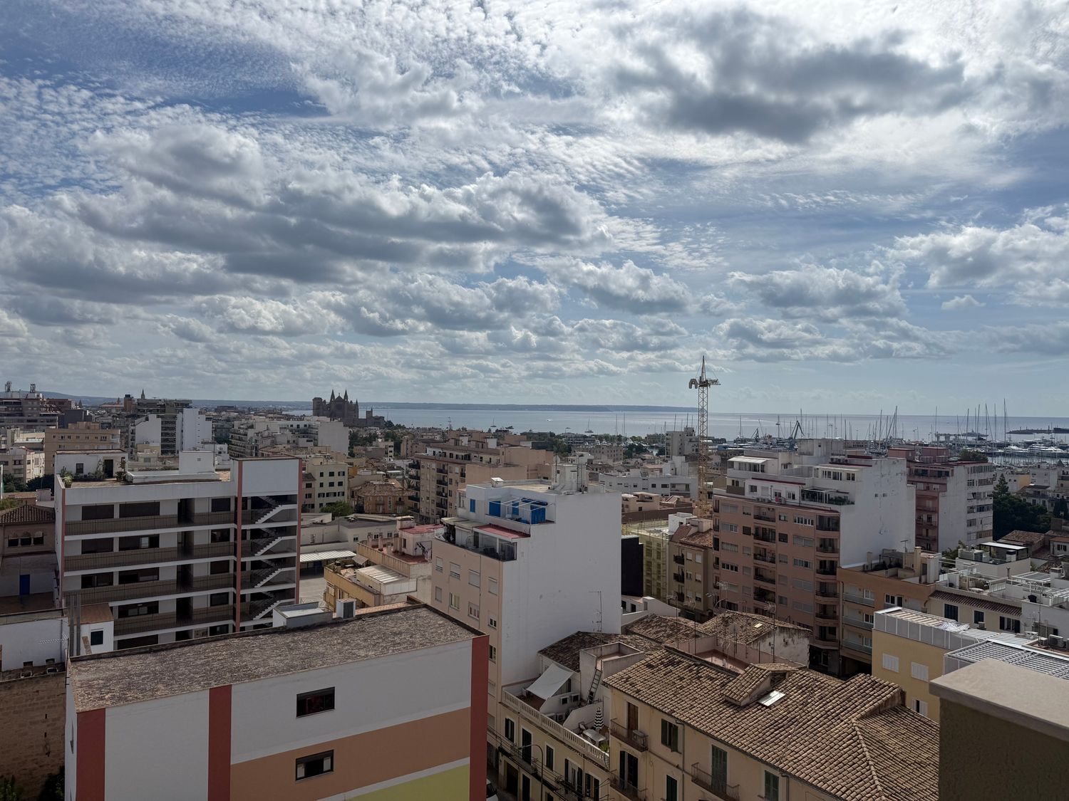 Piso en Calle de Villalonga, 33, Sta Catalina - El Jonquet - Foto 30