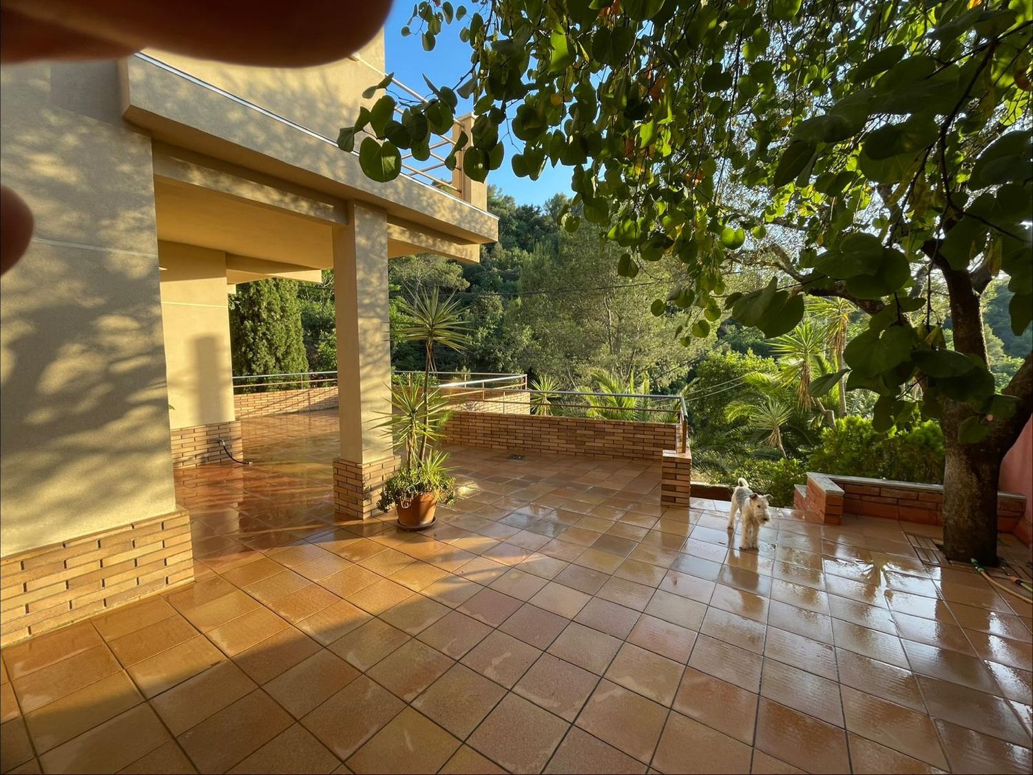 Casa o chalet independiente en Cervelló - Foto 6