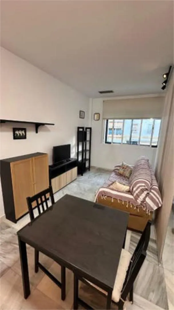 Apartamento en Plaza del Caballo - Foto 3