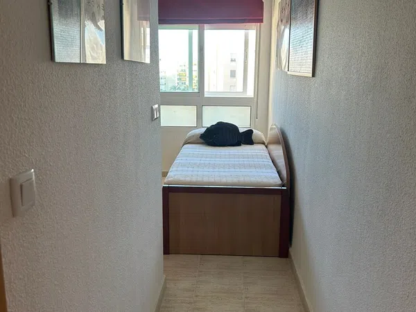 Piso en Calle Músico José Mira Figueroa, 1, El Palmeral-Urbanova-Tabarca - Foto 14