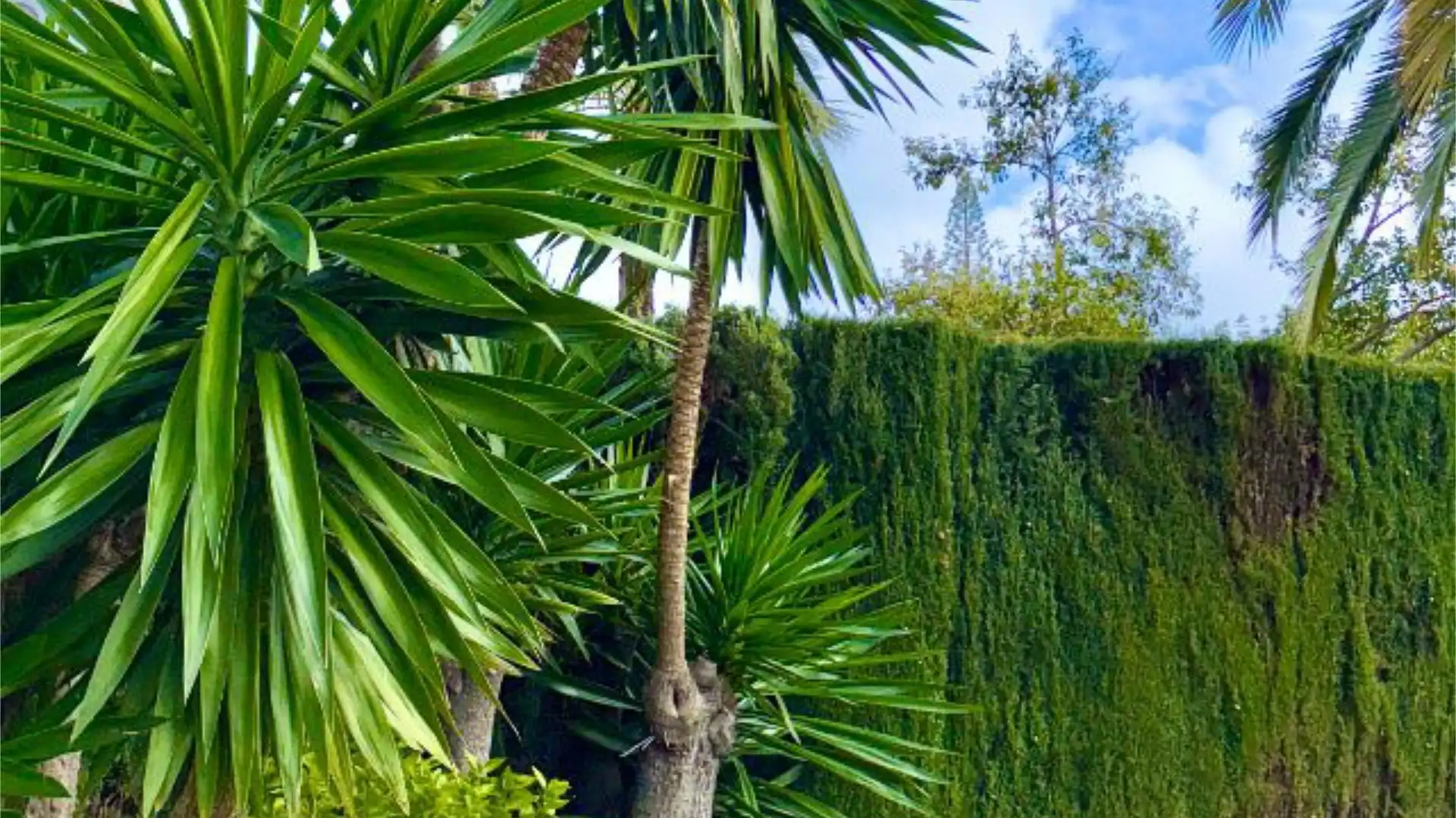 Apartamento en  Calle Irís 11 - Foto 9