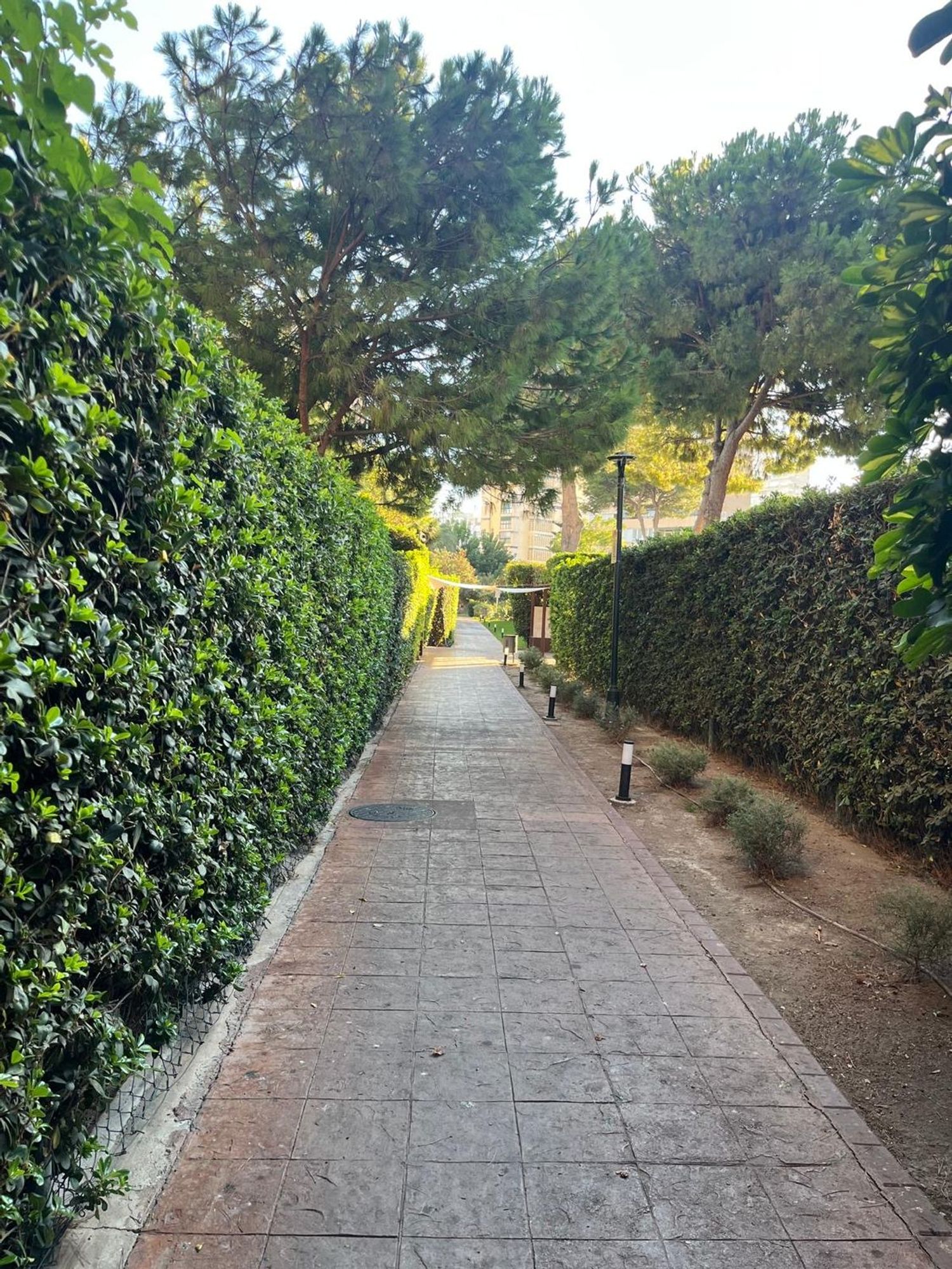 Piso en Avenida de Playamar, 70, Playamar - Benyamina - Foto 32