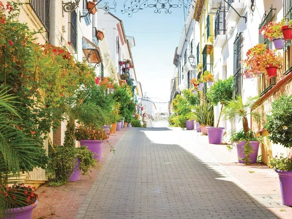 Piso en Piso Primera Linea De Playa, 23 AvdEspaa - Foto 13