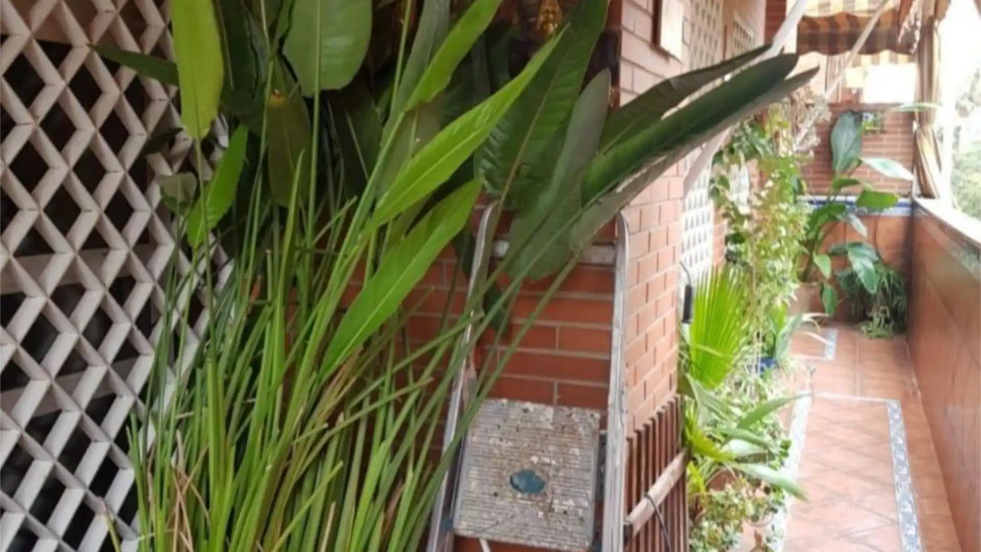 Piso en  Calle Cueva del Gato 3 - Foto 3