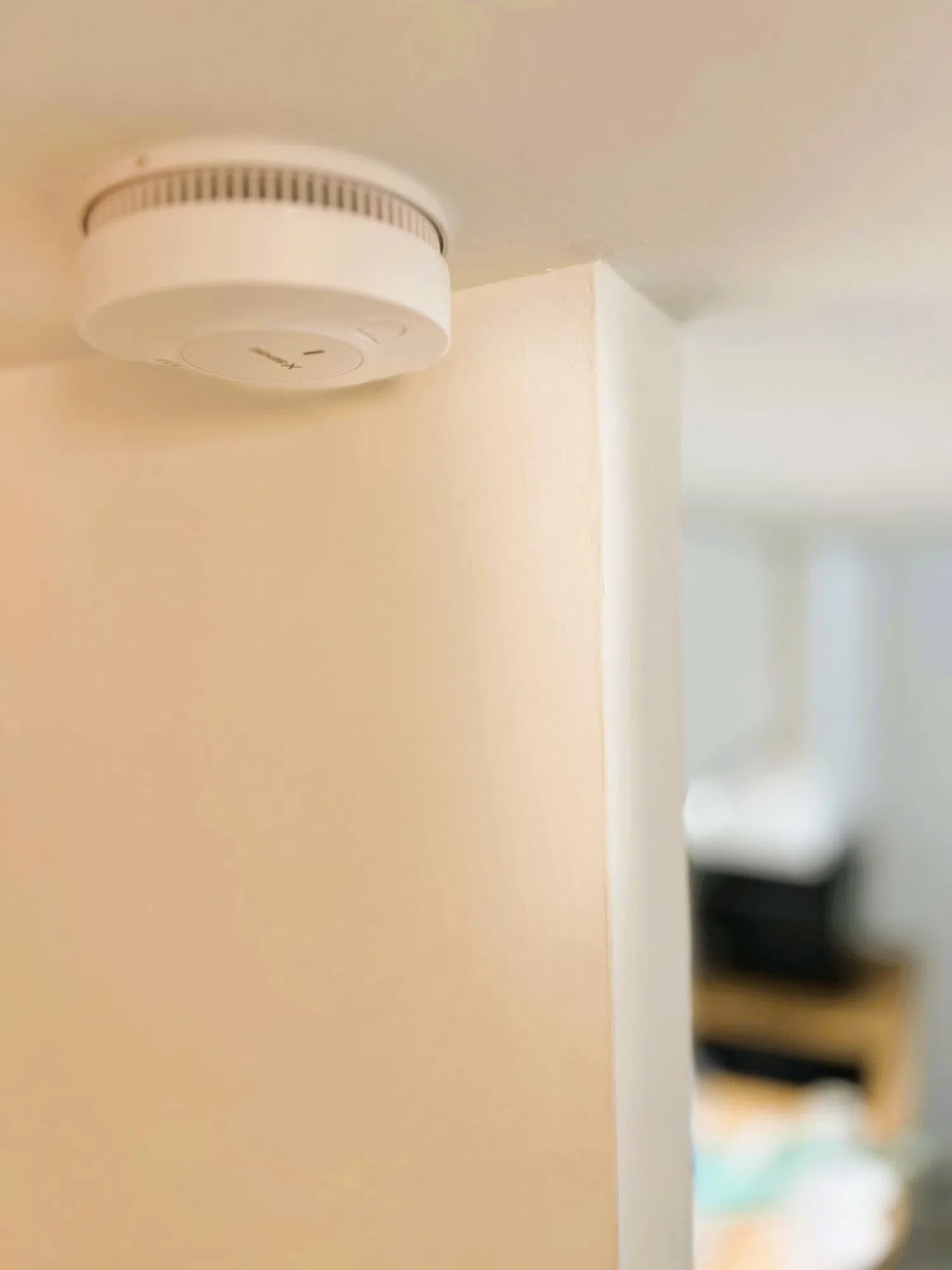 Estudio en Barrio Huertas-Cortes - Foto 14