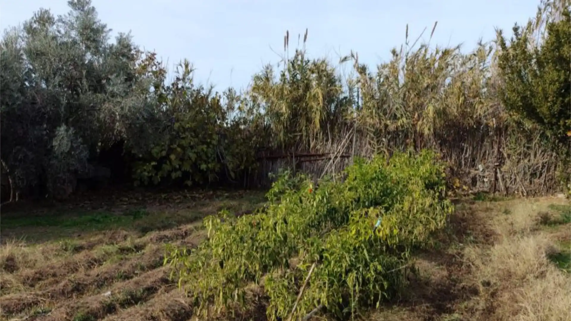 Chalet en  Camino de Cascajales 23 - Foto 19