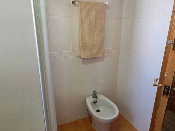 Piso en Calle del Doctor Bergez, 58, Carolinas Altas - Foto 20
