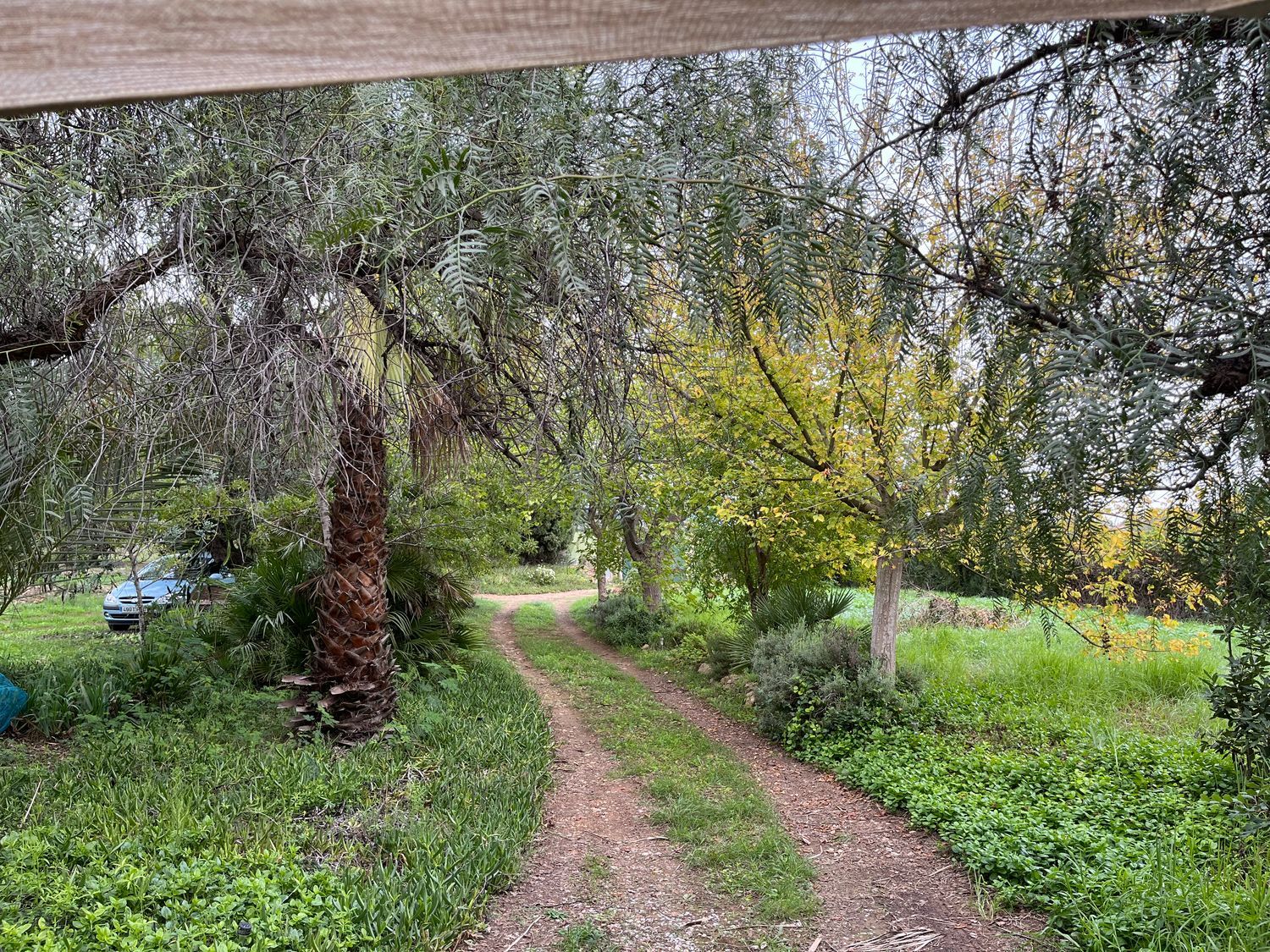 Casa independiente en Diseminado P068, 256 - Foto 6