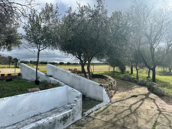 Finca rústica en Campo, 2 - Foto 5
