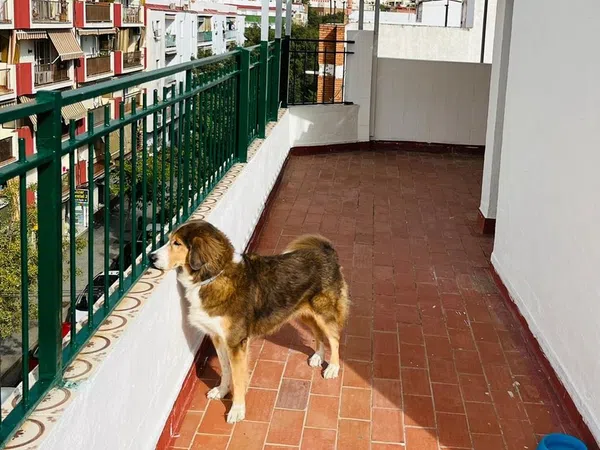 Ático en Avenida de los Almogávares, 46, Valdeolleros - Zumbacón - Camping, Córdoba - Foto 8
