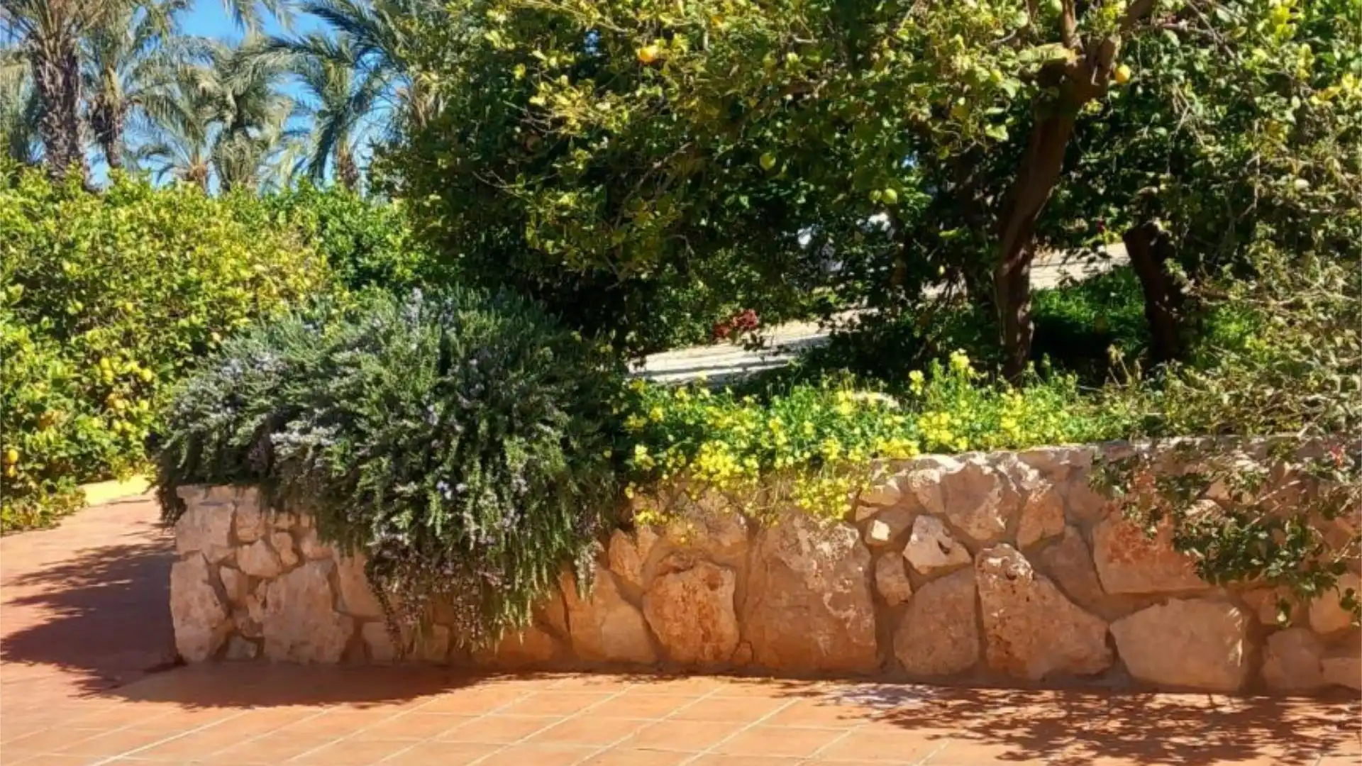 Piso en  Camino de Monteazahar 63 - Foto 15