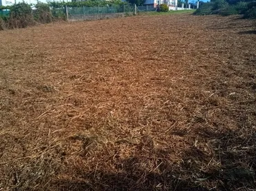 Piso en  Rúa San Lázaro 35 - Foto 6