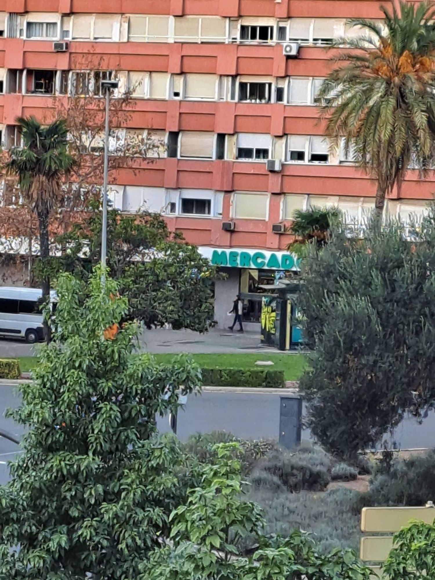 Piso en Av Blasco Ibáñez, Ciutat Jardí - Foto 22