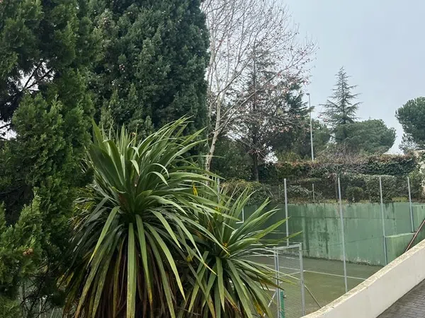 Piso en Calle Azafrán, 1, Golf - El Carralero - Foto 15
