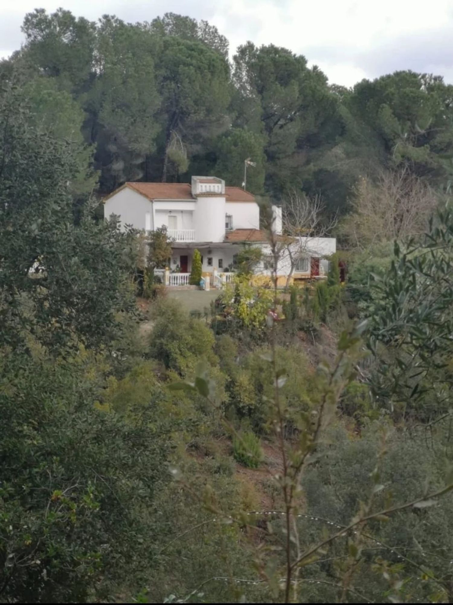 Casa rural en Urbanización El Salado, 85, Trassierra - Las Jaras - Foto 2