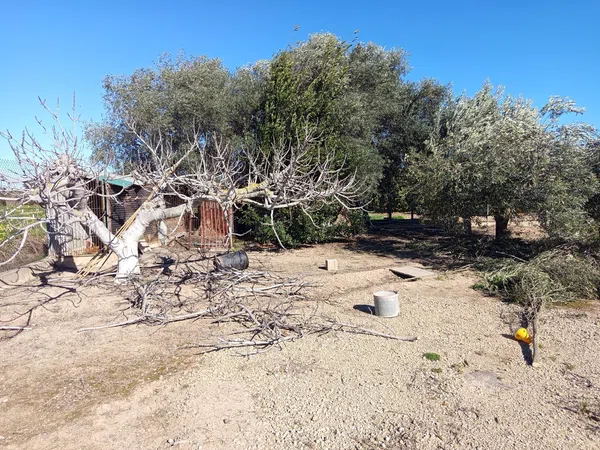 Finca rústica en plaza de Sant Isidre, 15 - Foto 27