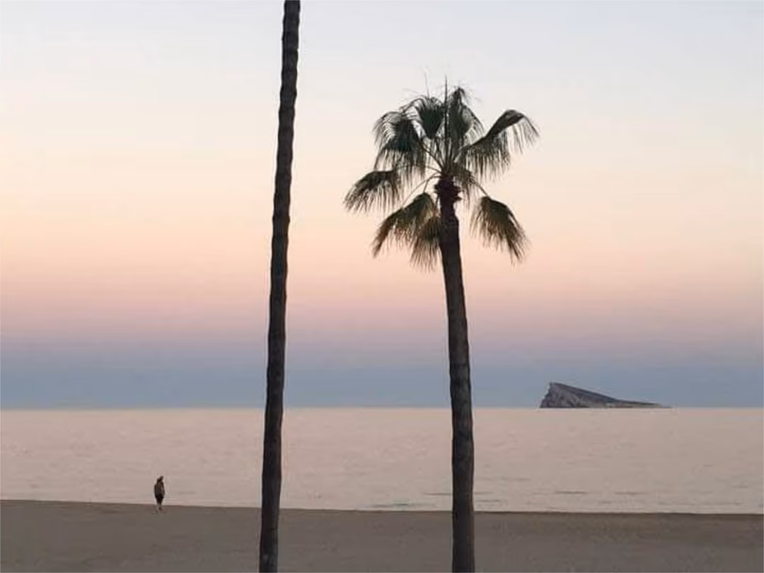 Piso en  Avenida Vicente Llorca Alós 29 - Foto 11