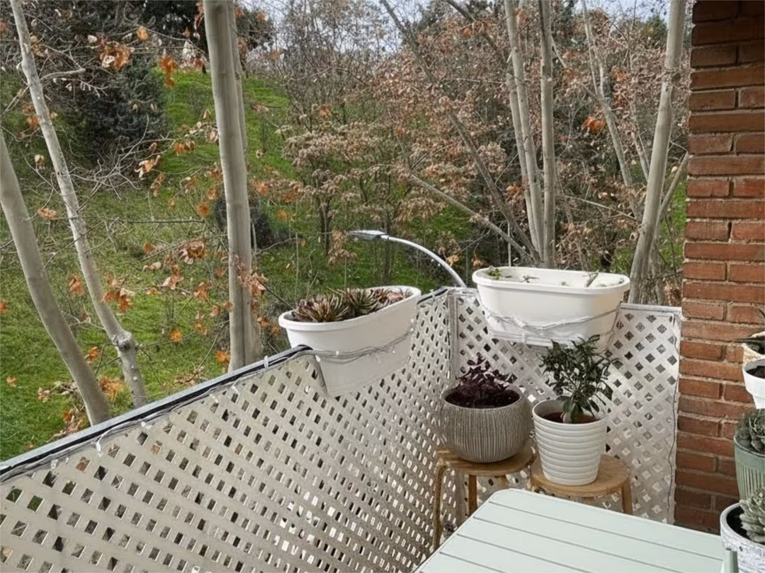 Piso en  Paseo de San Illán 21 - Foto 5