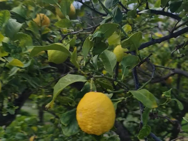 Piso en avenida d'Europa, 51 - Foto 3