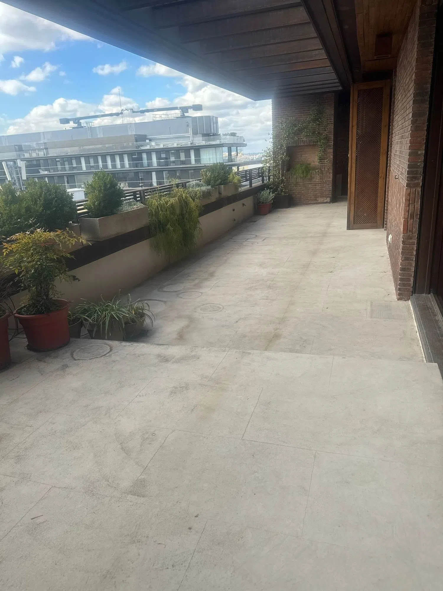 Ático en Barrio Castellana - Foto 6