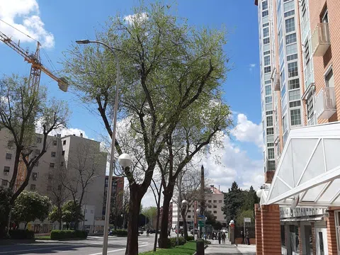 Piso en paseo de las Acacias, 30
