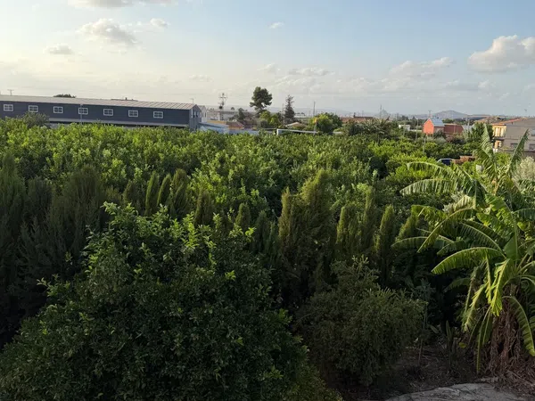 Finca rústica en Camino de los Plazas, 16, San José de la Vega - Foto 22