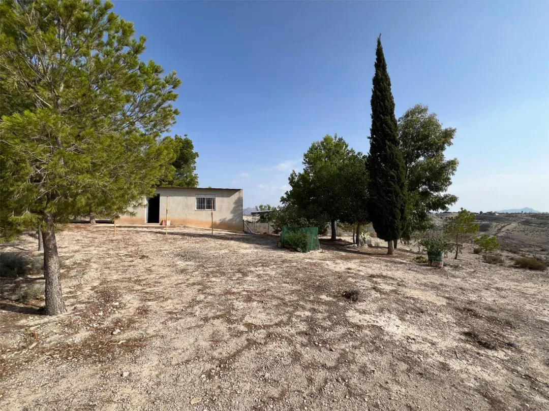 Finca rústica en  Calle Cordel de los Valencianos 2 - Foto 4