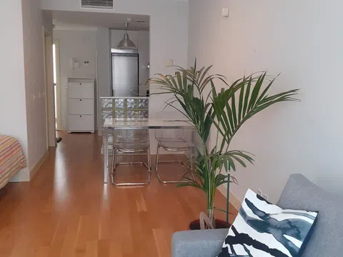 Estudio en calle de Francisco Navacerrada, 62