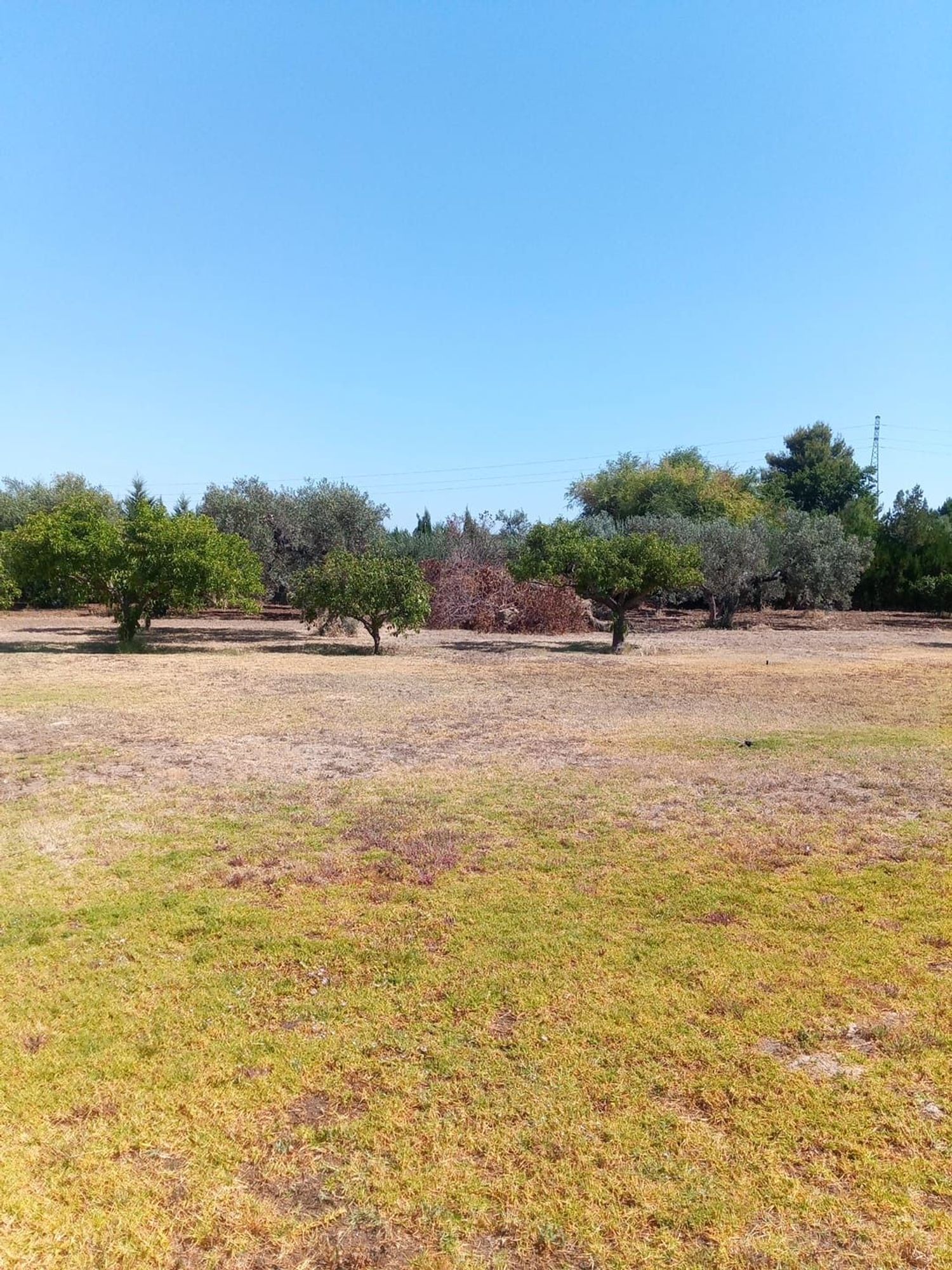 Finca rústica en La Lombarda, 26 - Foto 13