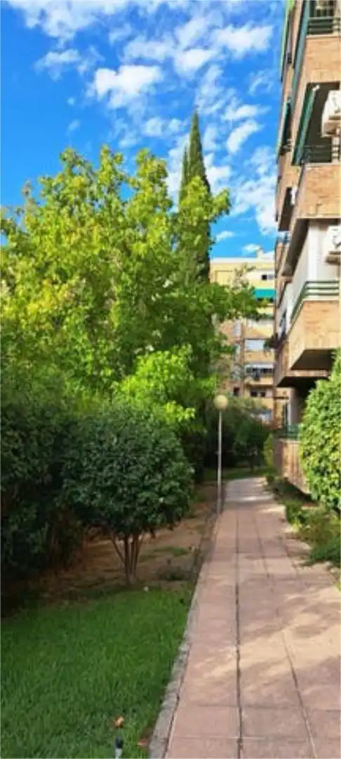 Piso en La Luna - Foto 5