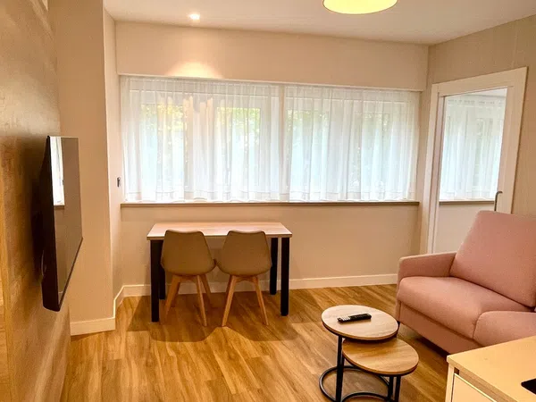 Estudio en calle Aranzabal, 8 bajo - Foto 7