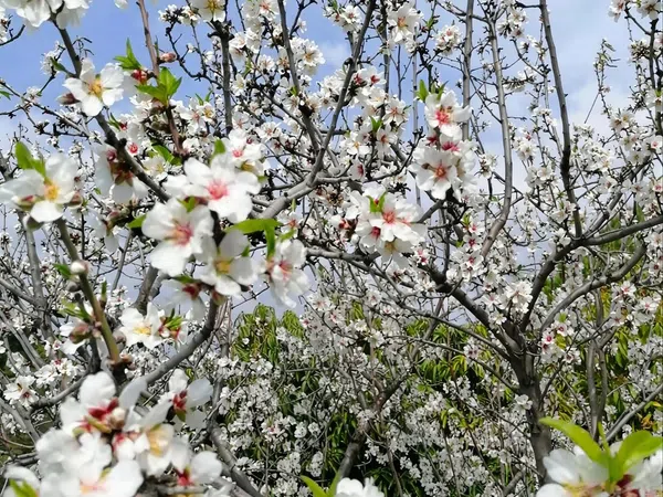 Casa independiente en Carretera, 188 - Foto 36