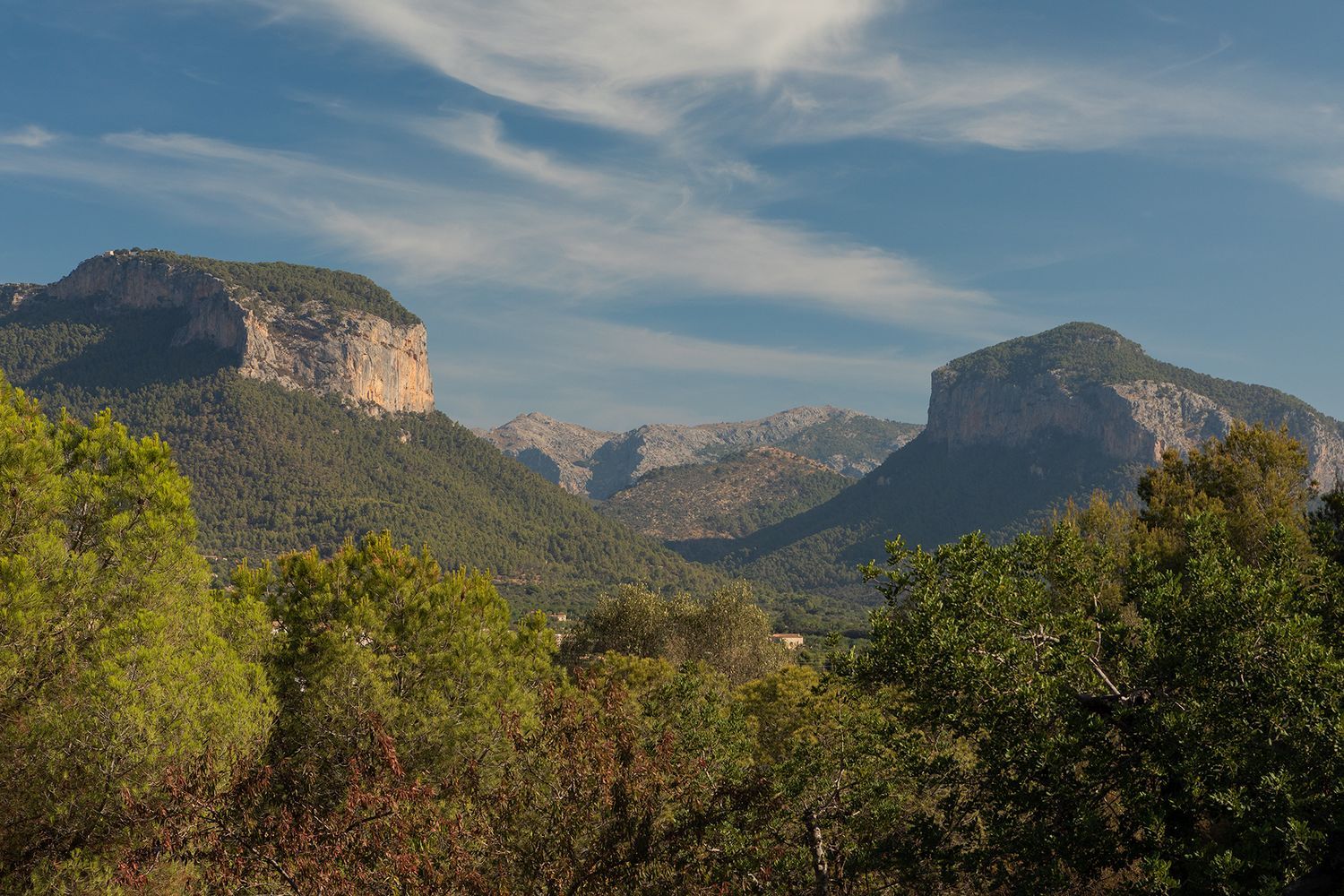 Finca rústica en Alaró - Foto 6