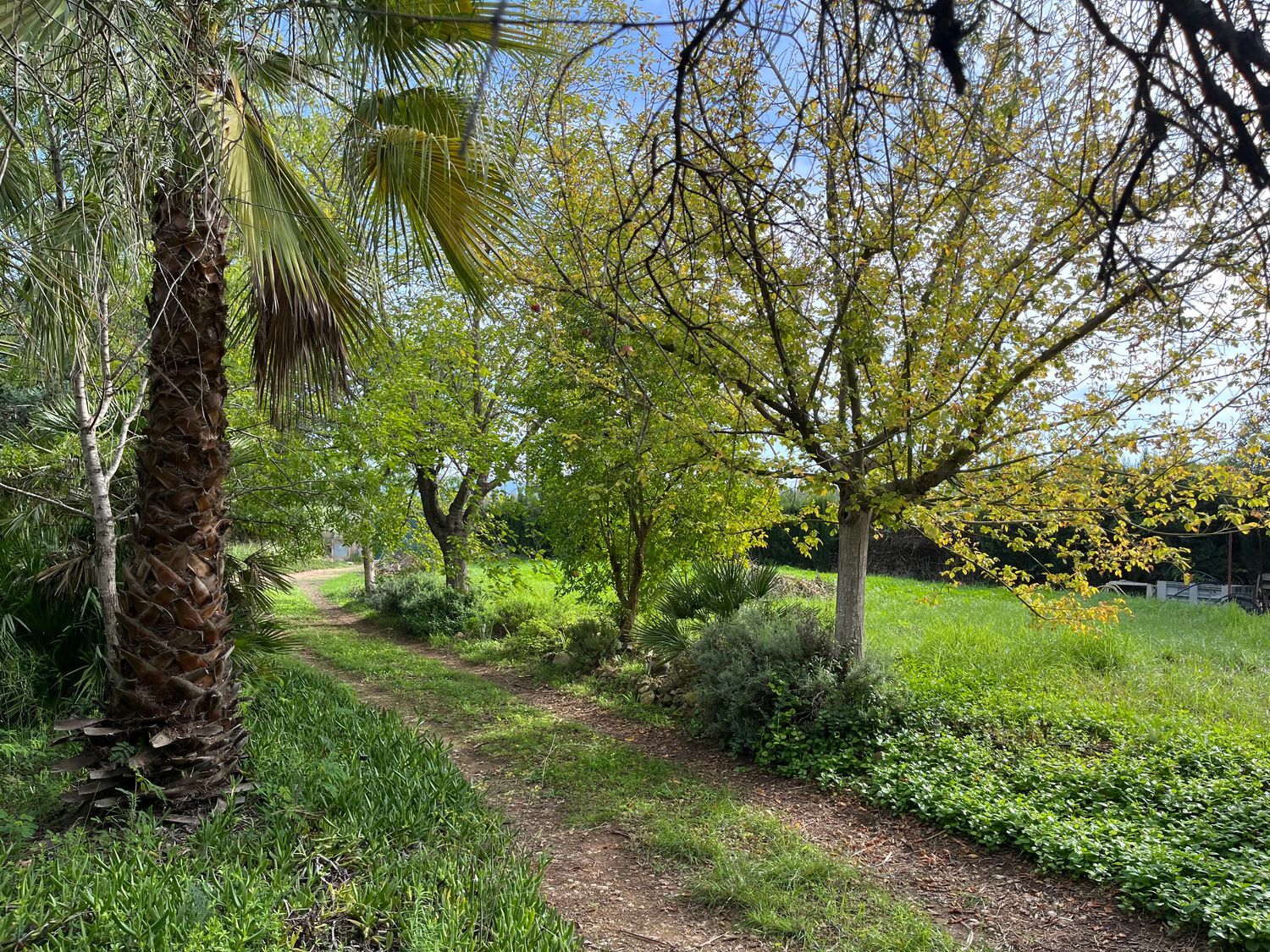 Casa independiente en Diseminado P068, 256 - Foto 29