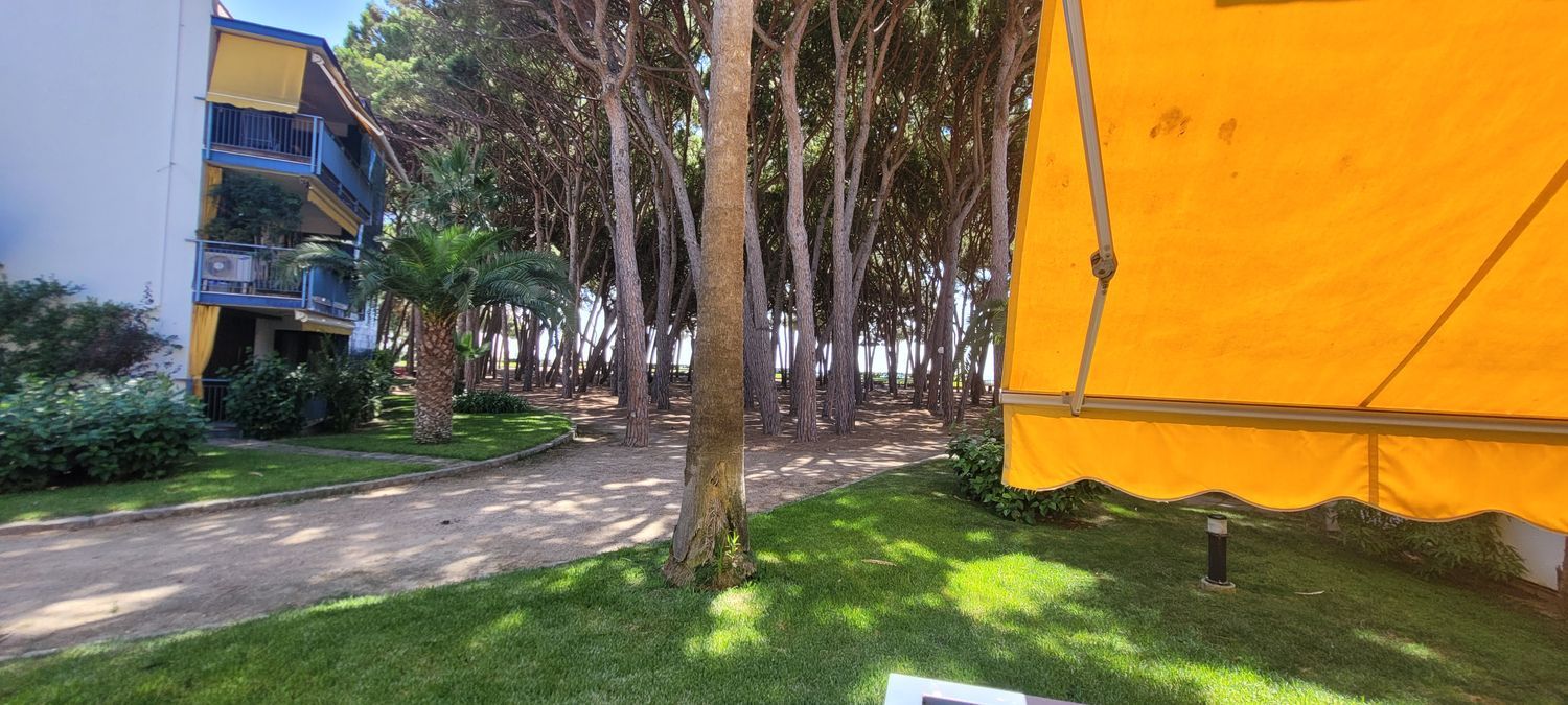 Piso en Avenida de la Diputació, 78, Vilafortuny platja - Foto 3