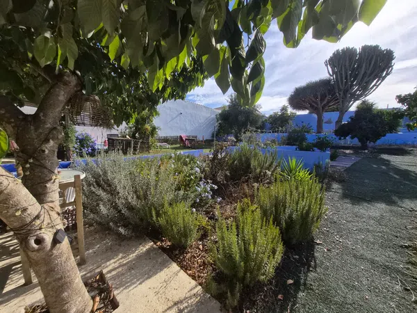 Finca rústica en Albarracin, 2 Higueral, San Roque Pueblo, San Roque Pueblo - Foto 29