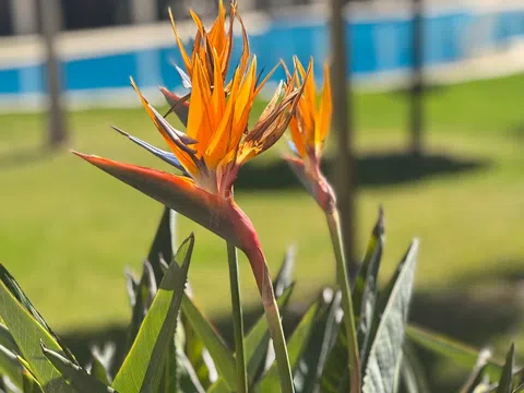 Piso en avenida Goleta, 25 - Foto 1