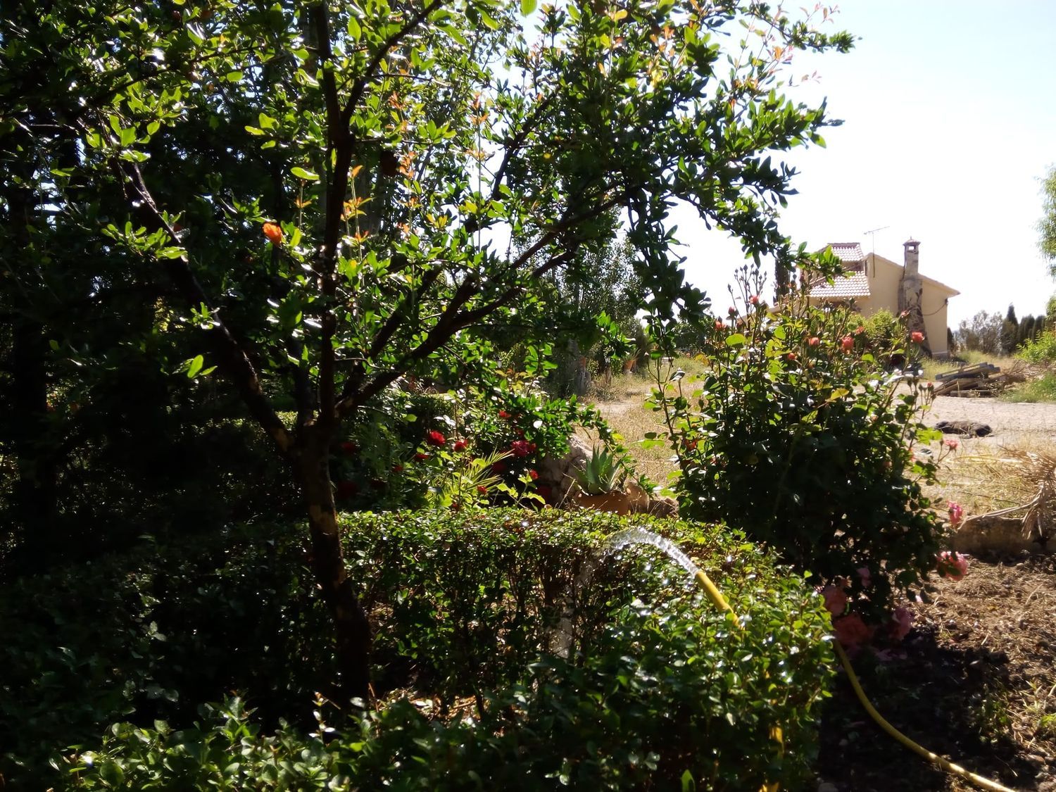 Cortijo en Camino del Campo, 20 - Foto 4