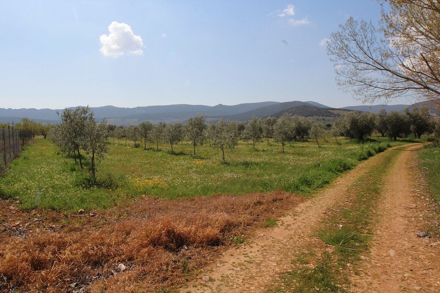 Finca rústica en Cr-7131, 1 km - Foto 14