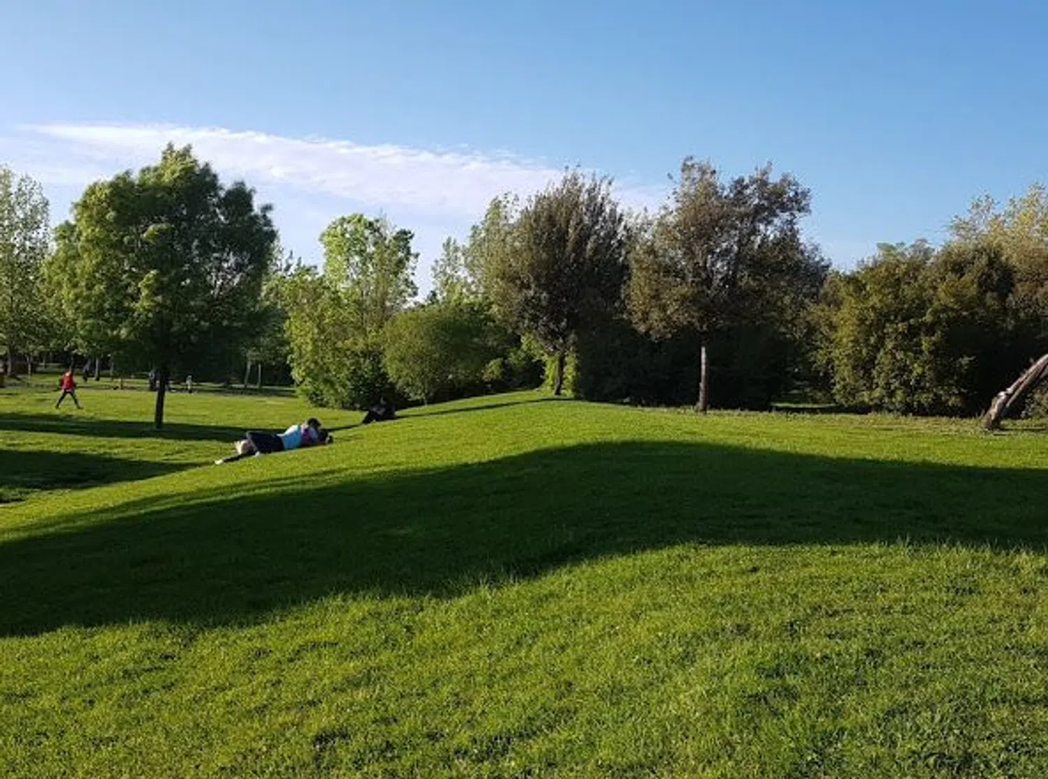 Piso en Loranca - Foto 21