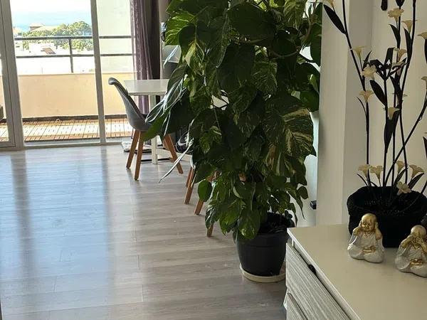 Ático en Calle d'Antoni Mus, 5, Cala Major - Foto 5