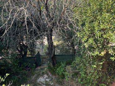 Chalet en  Carrer Montserrat 13 - Foto 29