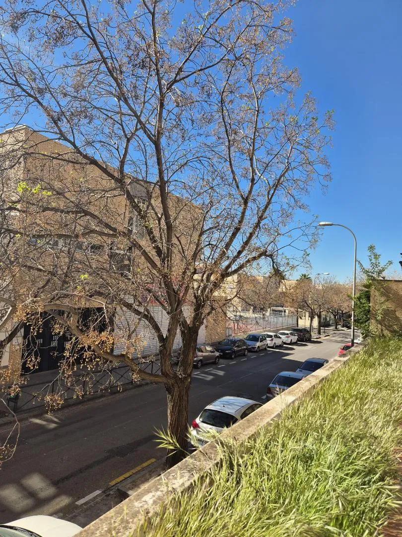 Piso en  Calle Albondón 9 - Foto 8