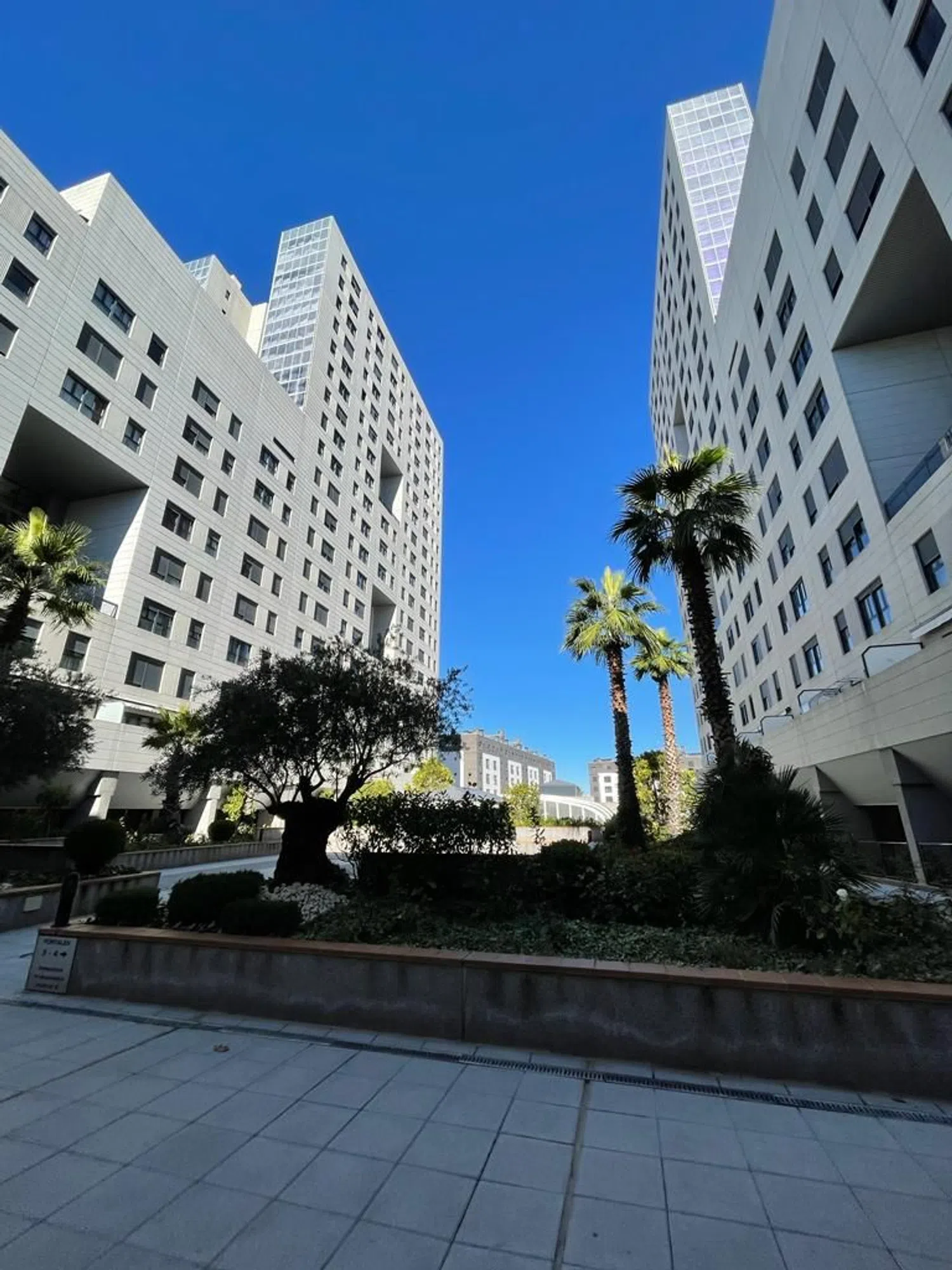 Piso en avenida de la Constitución, 85 - Foto 1