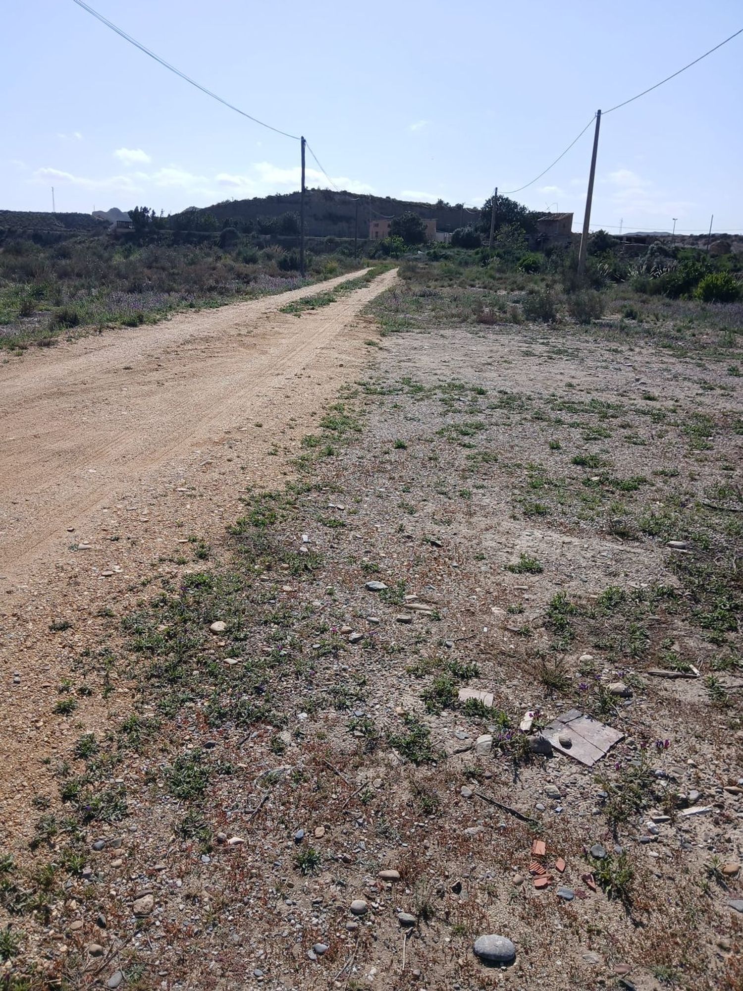 Cortijo en Barriada las Cunas s/n - Foto 4