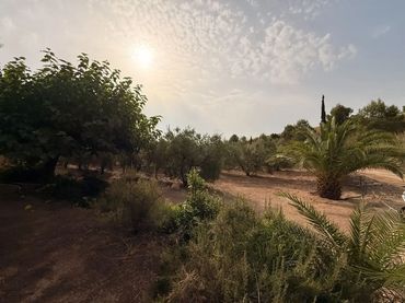 Finca rústica en  Camí de Sant Joan 1 - Foto 7