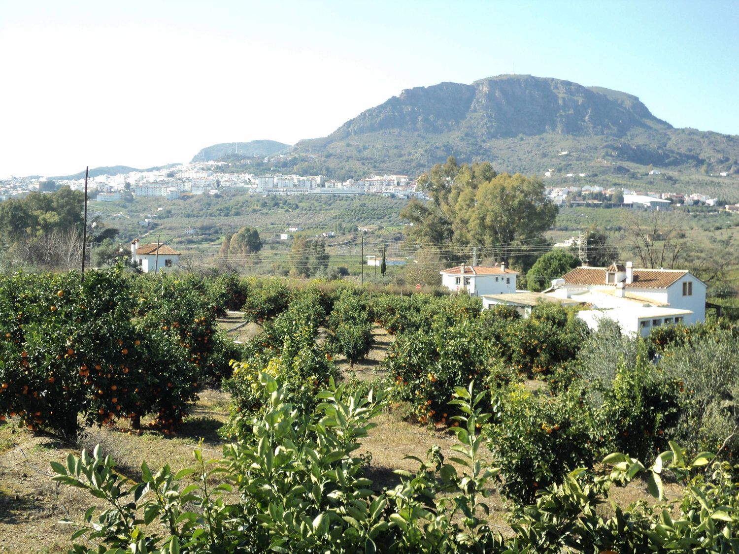 Casa rural en La Gavia, 5 - Foto 2