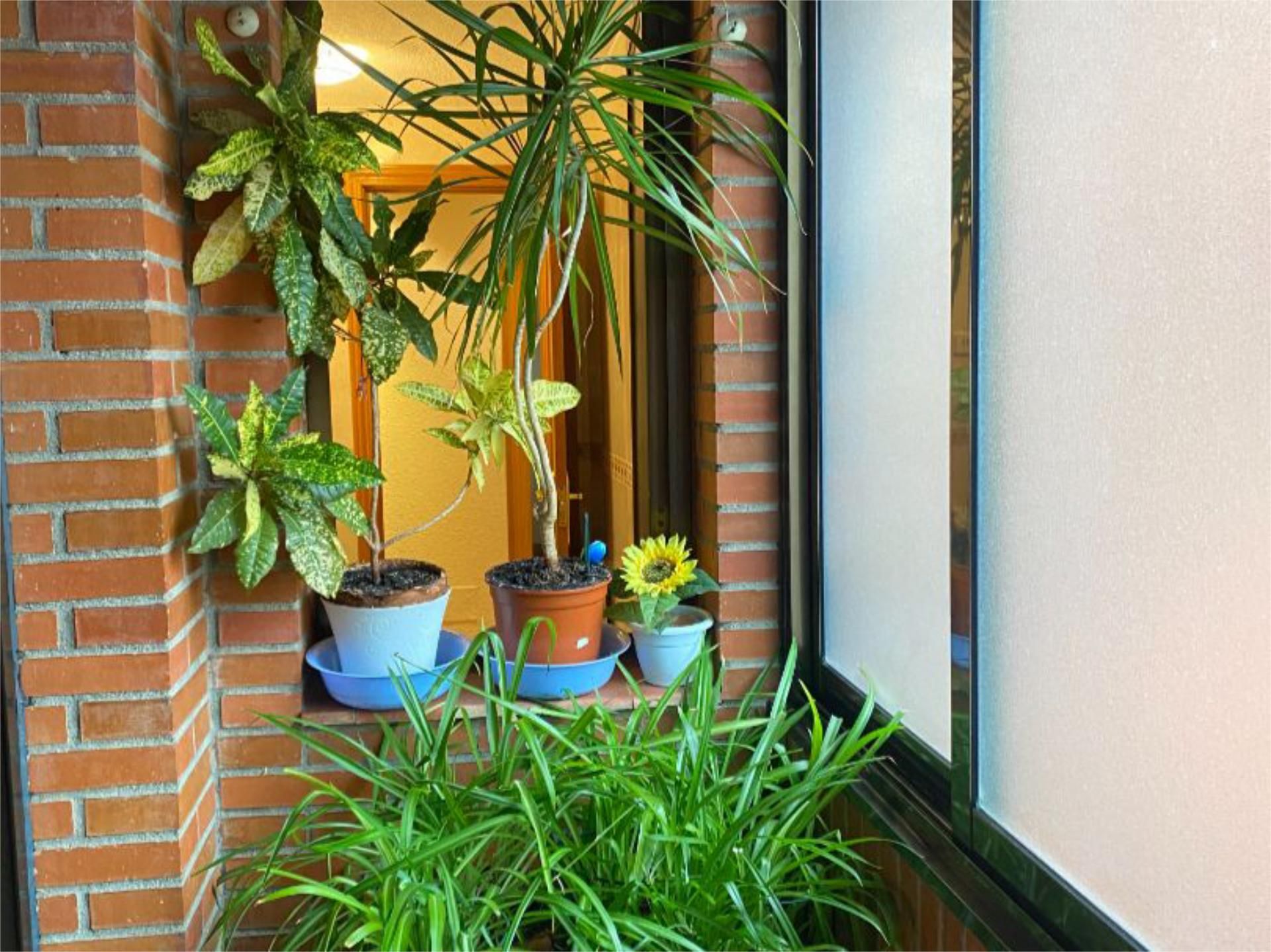 Piso en  Calle Laguna de Joatzel 2 - Foto 15